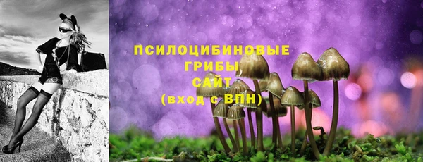 амф Беломорск