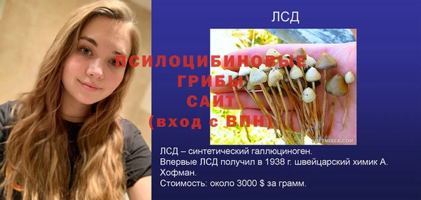 амф Беломорск