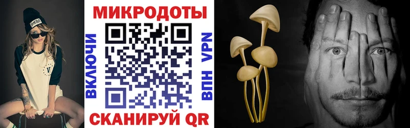 Псилоцибиновые грибы Psilocybe  магазин  наркотиков  Котовск 